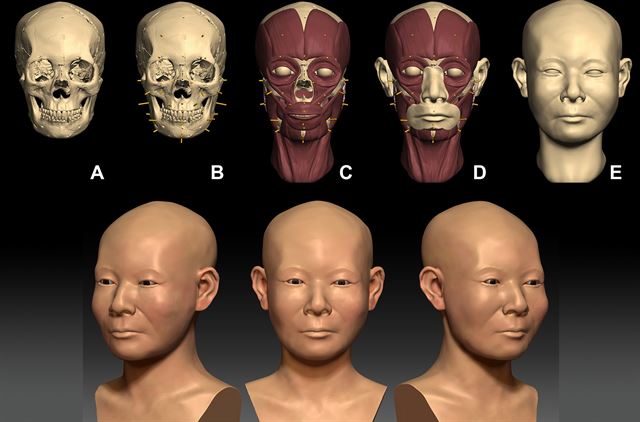 2013년 경주에서 발굴된 유골을 토대로 서울대 의대 법의학연구소가 신라 시대 여성의 얼굴을 복원한 결과 현대 여성보다 전체적인 머리뼈가 앞뒤로 길고 좌우로는 좁고 위아래로는 짧은 것을 확인됐다. 서울대 의대 제공
