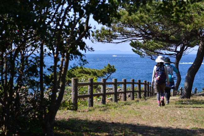 제주도의 감성을 전하는 가라쓰코스