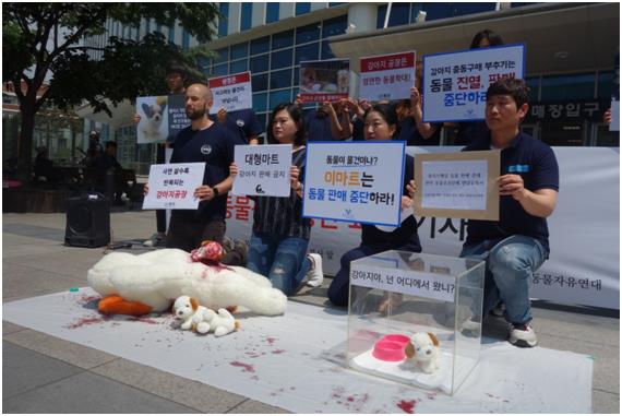 동물보호단체들이 9일 서울 성수동 이마트 본점에서 강아지 판매 중단을 요구하는 기자회견을 하고 있다. 동물자유연대 제공