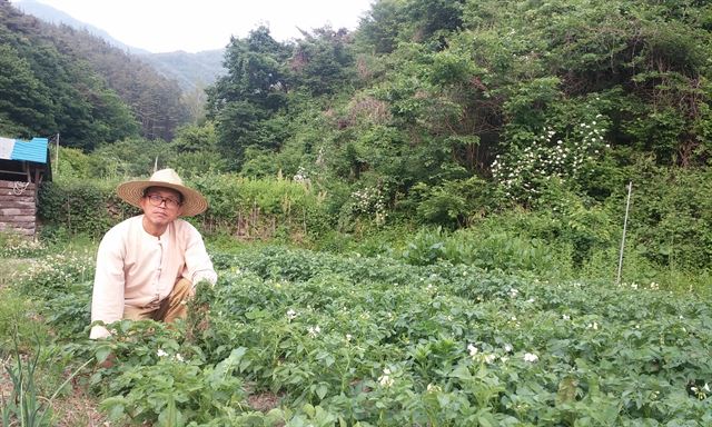 전희식 귀농정책연구소 부소장이 전북 장수에 있는 자택 인근 밭에서 일하고 있다. 전희식 부소장 제공