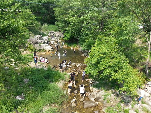 충북 제천 명암산채건강마을은 산촌체험과 함께 한방의료체험도 한번에 경험할 수 있다. 산림청 제공