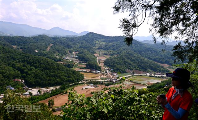 두무산 측백나무 숲 정상에서 본 수산면 풍경이 고향마을처럼 정겹다.