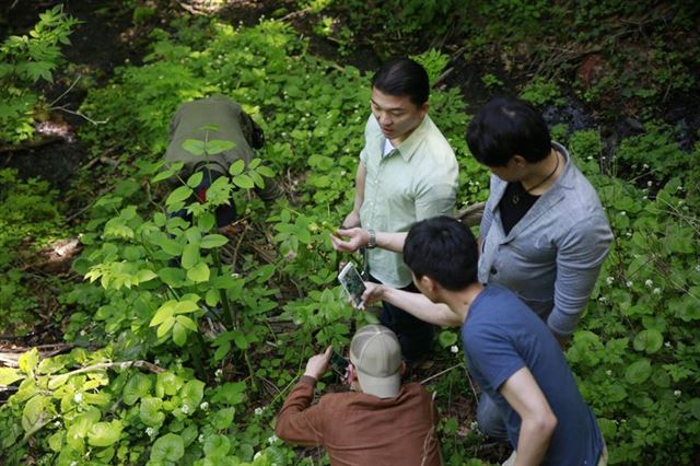 더 새로운 재료를 찾기 위해 울릉도의 산과 바다를 두루 탐험한 셰프들.