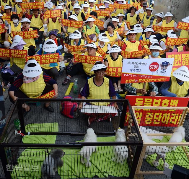 [저작권 한국일보]한국반려동물총연합회 회원들이 24일 오후 서울 여의도 국민은행앞에서 에서 편파방송과 동물보호법 개악규탄대회를 열고 생존권을 보장 하라는 구호를 외치고 있다. 2016.96.24신상순 선임기자ssshin@hankookilbo.com /2016-06-24(한국일보)