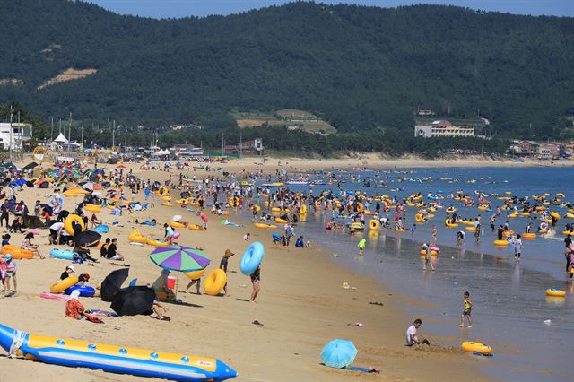 전남 완도군 신지면 명사십리해수욕장이 국내에서 처음으로 친환경 해변인 파일럿 블루플래그 인증을 획득하고, 1일 개장한다./2016-06-29(한국일보)