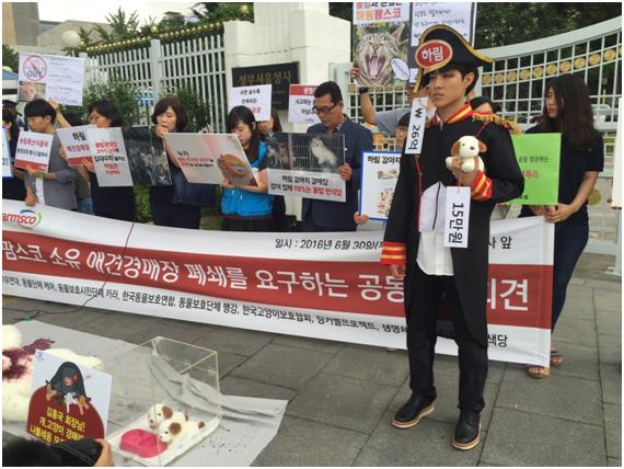 동물보호단체들이 30일 서울 종로구 정부종합청사앞에서 “하림은 애견경매장 임대사업을 중단해야 한다”고 주장하며 기자회견을 열고 있다. 회원들은 김홍국 하림 회장이 개, 고양이 경매를 통한 수익으로 나폴레옹 모자 경매에 참여해 26억원에 낙찰 받은 것 아니냐며 이를 비판하는 내용의 퍼포먼스를 진행했다. 동물자유연대 제공