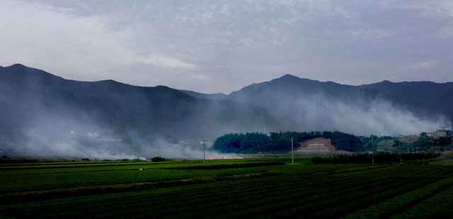 들녘에 불과 연기가 가득하다. 밀을 수확한 뒤 논을 갈고 모를 심기 위해 밀짚을 태우는 모습이다. 유기물을 태울 때 미세먼지가 다량 발생한다는 보고가 있어 적절한 대체 작업이 필요하다고 한다.