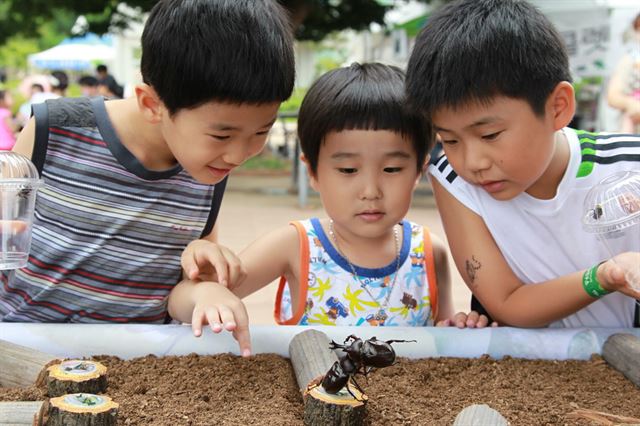 예천생태원에서 어린이들이 곤충들의 싸움을 신기한 모습으로 바라보고 있다. 예천군 제공