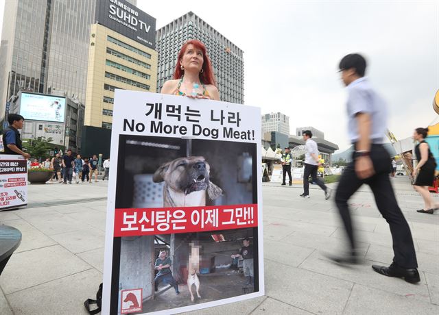 영국 동물보호단체 회원 마들린 웨런 씨가 25일 서울 광화문광장에서 '보신탕은 이제 그만'이라고 적힌 피켓을 들고 1인 시위를 하고 있다. 연합뉴스