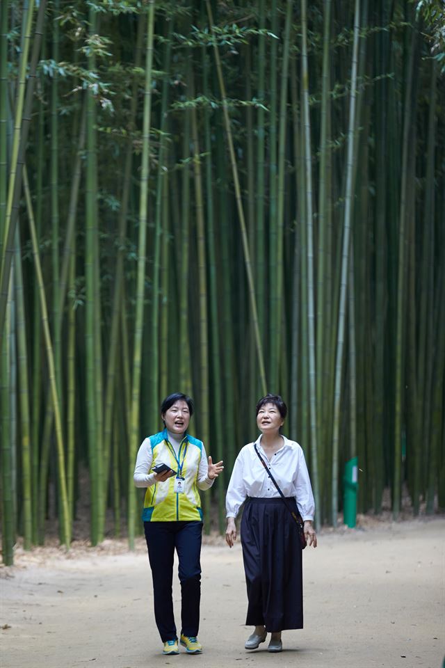 박근혜 대통령이 28일 울산광역시 중구 태화강대공원 십리대숲을 방문, 해설사와 함께 대나무가 우거진 길을 걷고 있다. 청와대제공