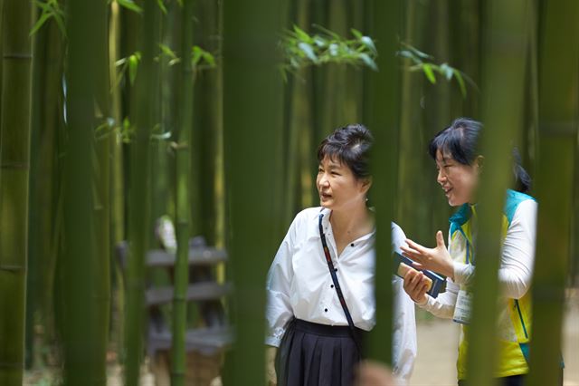 휴가중인 박근혜 대통령이 28일 울산시 중구 태화강 십리대숲을 둘러보고 있다. 박 대통령은 휴가를 이틀 남겨둔 이날 울산 태화강 십리대숲, 대왕암공원을 돌아보고 시민들과 만난 뒤 재래시장인 신정상가시장에서 오찬을 가졌다. 청와대 제공