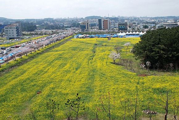 제주시청 이전이 무산된 제주시 시민복지타운에 공공주택 1,200가구가 건설된다. 사진은 제주시민복지타운 공공청사 부지 전경.