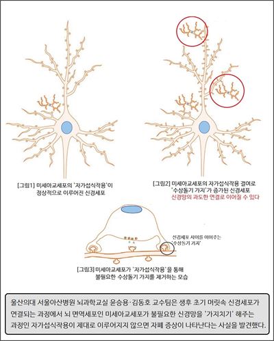 윤승용(왼쪽)·김동호 서울아산병원 뇌과학교실 교수