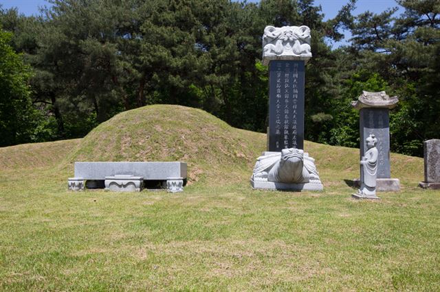 세종시 장군면 대교리에 있는 김종서 장군 묘. 세종시 제공