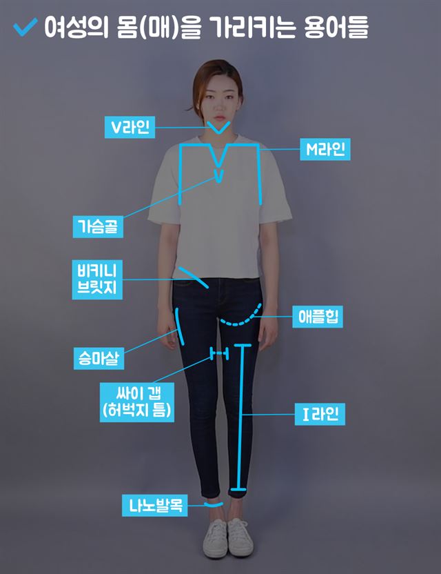 미용업계는 여성의 몸을 다양한 용어로 평가하며, 그들이 규정한 아름다운 몸매의 기준을 제시한다. 한규민 디자이너 szeehgm@hankookilbo.com