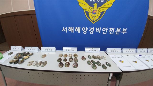 서해해양경비안전본부 상황실에 식용으로 밀수입한 중국산 활전복을 교배용으로 판매한 증거품이 나열해 있다.