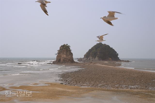 충남 태안군 안면도의 상징이자 태안 해변길에서 만나는 꽃지해변의 할미 할아비 바위 풍경.