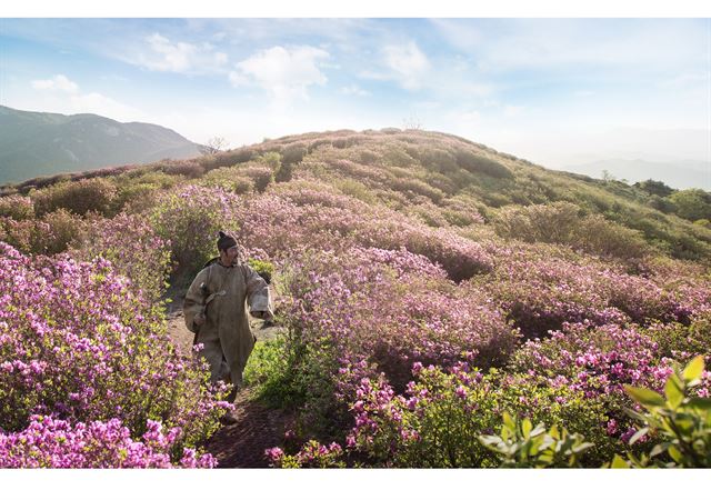 영화 ‘고산자, 대동여지도’에서 철쭉이 만개한 경남 합천의 황매산 절경이 펼쳐지는 장면. CJ엔터테인먼트 제공