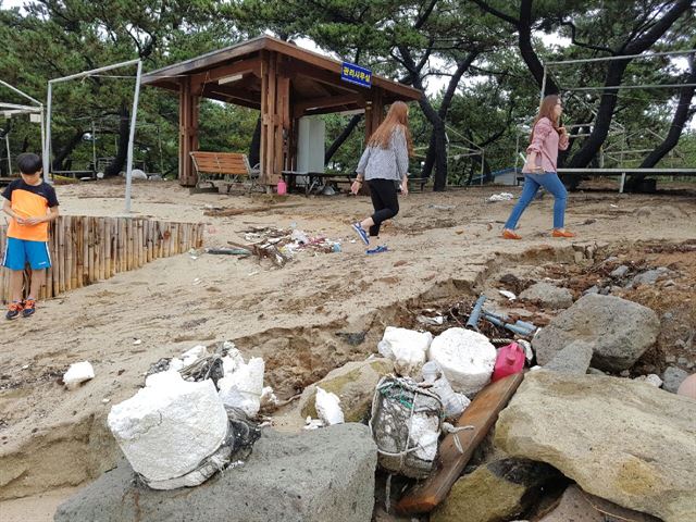 전남 신안군 증도면 우도해수욕장이 쓰레기로 뒤범벅이 돼 '관광 신안'의 이미지를 망치고 있다. 김종구 기자