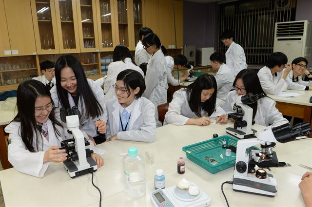 학교 연합형 교육과정의 일환으로 생명과학실험 수업을 개설한 서울 노원구 서라벌고에서 20일 참여 학생들이 현미경으로 양파의 표피세포에서 일어나는 삼투압 현상을 관찰하고 있다. 오대근 기자