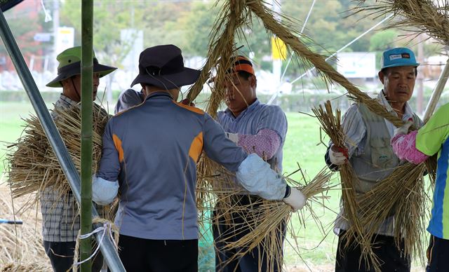 경주시새마을협회 관계자들이 23일 오후 경북 경주시 노서동 대릉원 일원에서 줄다리기 줄을 만들고 있다. 협회는 오는 10월 열리는 '2016 신라문화제 줄다리기 대회'를 대비해 줄을 제작한다고 말했다. 연합뉴스