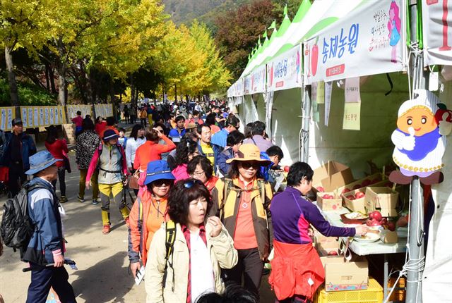 문경사과축제장을 찾은 관람객들이 현장 부스를 둘러보고 있다. 문경시 제공