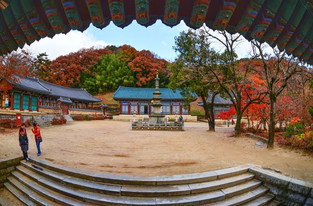 김천 직지사 비로전 3층석탑. 김천시 제공/그림 3김천 직지문화공원 전경. 김천시 제공