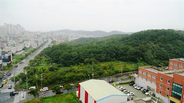 경북 포항 북구 장성동 일대 땅 1만7,403㎡에 신축계획 중인 포항장량국민체육센터 예정지. 포항시는 부지 보상비로 12억 원을 산정했으나 전문 감정기관에 의뢰한 결과 66억 원으로 나와 체육센터 건립에 비상이 걸렸다. 김정혜기자 kjh@hankookilbo.com