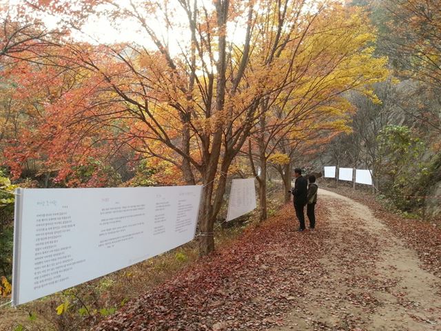 천태산 등산로 입구에 내걸린 시화. 전국 문화예술인들의 모임인 천은사는 해마다 이맘 때면 천태산 은행나무를 소재로 한 시 모음집을 내고 작품 하나 하나를 걸개 그림에 담아 시화전을 연다. 천은사 제공.