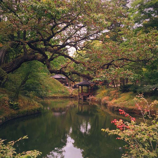 줌업코리아상 한보람 작 '2015 깊은 가을에, 관람지' 서울 창덕궁