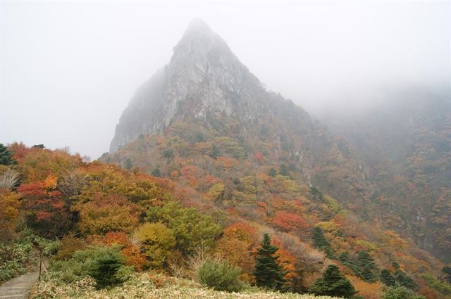 제주 한라산 단풍이 오는 29일 절정을 이룰 것으로 보인다. 사진은 한라산 삼각봉 일대. 제주도 제공.