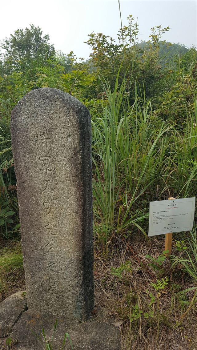 전북 정읍시 옹동면 비봉리 한 야산에 전봉준 장군의 것으로 추정되는 1m 높이의 비석에 ‘將軍天安全公之墓(장군천안전공지묘)’라는 글귀가 새겨져 있다.