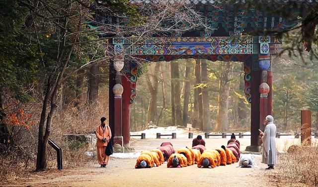 '황혼기나도출가학교'에 참가한 행자들이 삼보일배를 하고 있다. 월정사 출가학교 제공