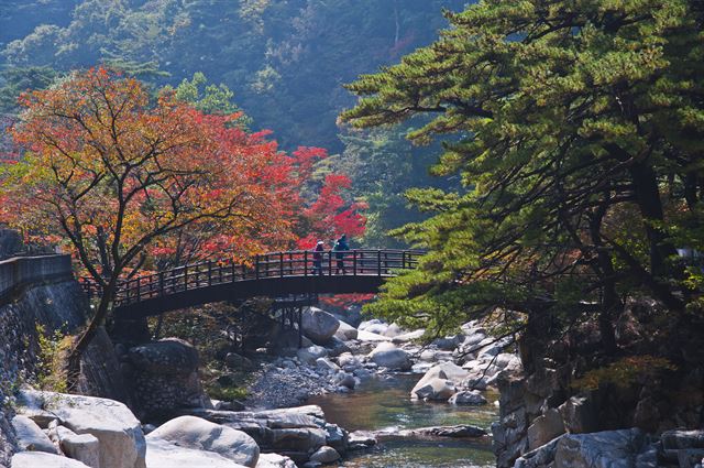 주변 단풍이 계곡물을 붉게 물들인다 해 이름 지어진 합천 해인사 홍류동계곡의 가을. 합천군 제공