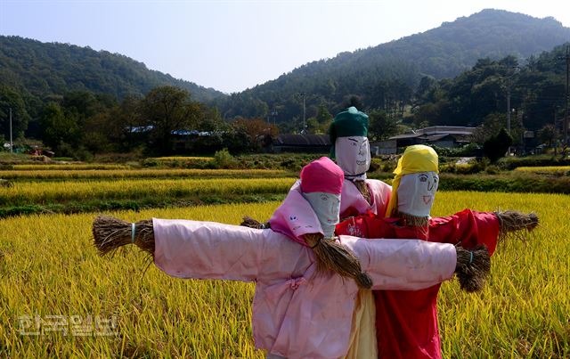 찬샘마을의 허수아비 형제들.