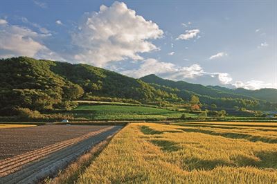 춘천 고탄리 산골마을.