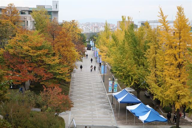 성곡동산에서 내려다 본 캠퍼스의 모습