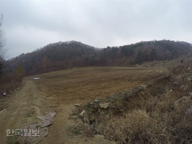 최순실씨 일가가 보유한 강원 평창군 용평읍 도사리 191-2번지 일대의 임야. 멀리 보이는 승용차(흰색)과 견주어 보면 땅의 넓이를 짐작할 수 있다. 김형준 기자