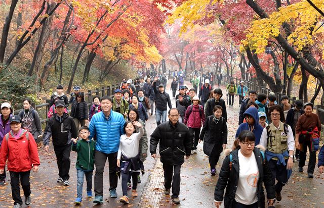 시민들이 단풍이 아름답게 물든 남산길을 걷고 있다.