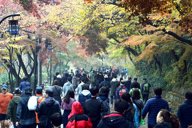 시민들이 단풍이 아름답게 물든 남산길을 걷고 있다.