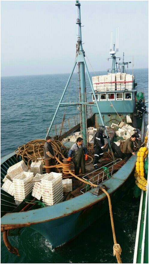 인천해양경비안전서는 14일 오전 인천 옹진군 백령도 서쪽 해상에서 불법 조업하던 중국어선 A호를 나포했다고 밝혔다. 해경 대원이 A호에 올라 나포작전을 펼치고 있다. 인천해양경비안전서 제공