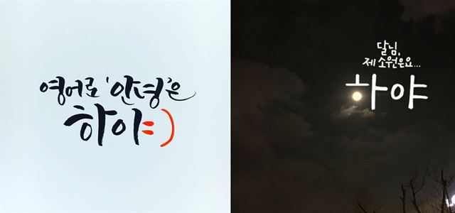 14일 캘리그래피 작가 박은지씨가 만들어 사회관계망서비스(SNS)에 게재한 박근혜 대통령 하야 촉구 작품. 박은지씨 제공