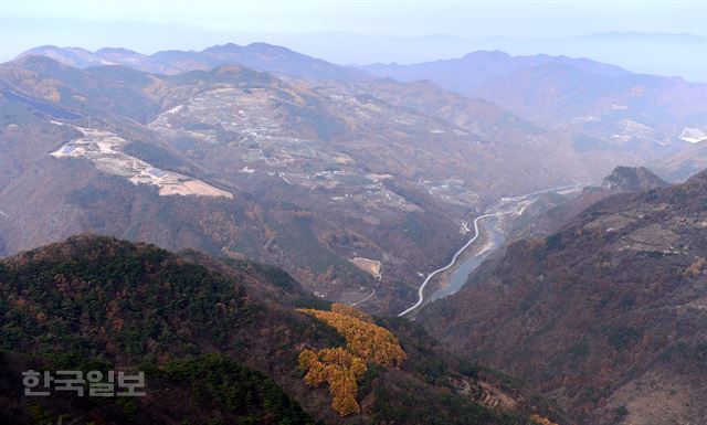 청량산과 낙동강을 사이에 두고 마주하고 있는 관창리 마을