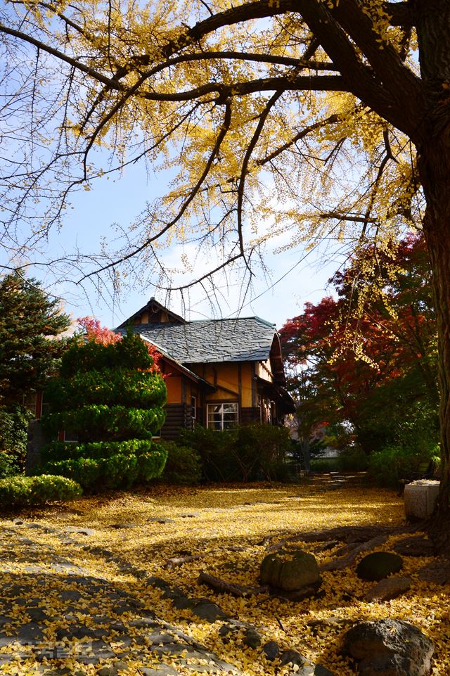 군산 이영춘가옥.