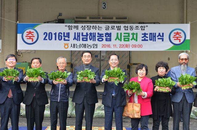 경남 남해군의 겨울철 대표 특산물인 '보물섬 남해 시금치'가 22일 초매식을 갖고 본격적인 출하를 시작했다.남해군 제공