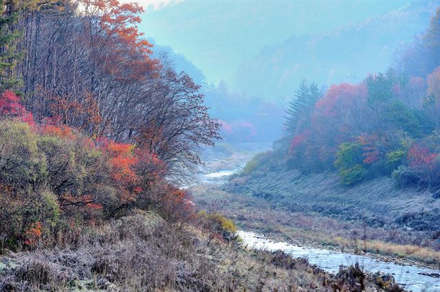 가을이 깊어가는 강원도 평창군 대관령면 평창강에 서리가 내리면서 주변 풍경이 마치 한 폭의 유화를 보는 듯하다.