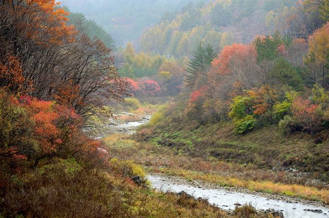 서리가 내리기 하루 전 풍경도 동화 속 비밀의 화원 같이 신비롭고 아름답다.