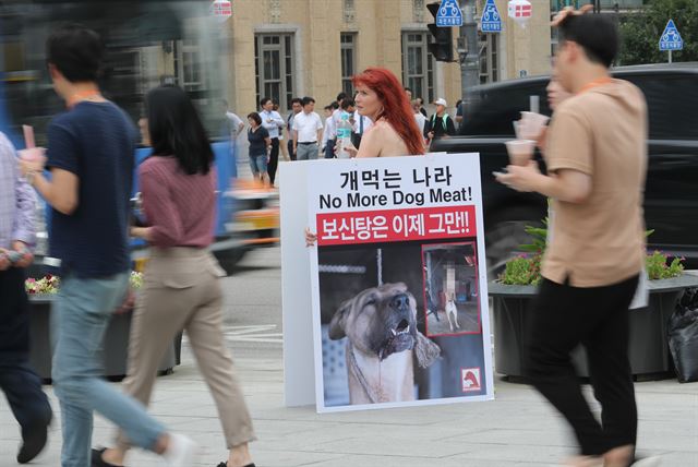 지난 7월 25일 오후 영국에서 온 동물보호단체 회원이 서울 광화문광장에서 개고기 식문화에 반대하는 피켓을 들고 1인 시위를 하고 있다. 연합뉴스