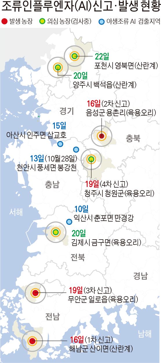 조류인플루엔자(AI) 신고·발생 현황