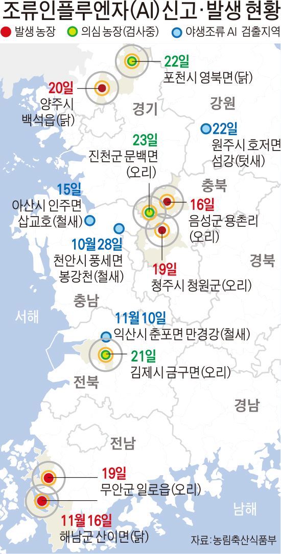 조류인플루엔자(AI) 신고·발생 현황(23일 현재)/2016-11-24(한국일보)